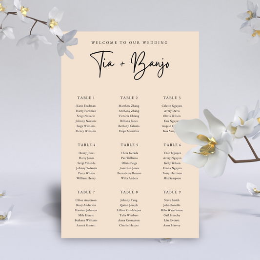 Seating Plan - The Tia