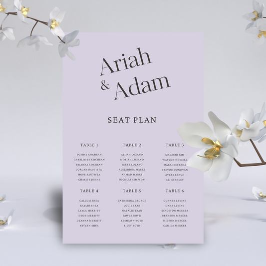 Seating Plan - The Ari